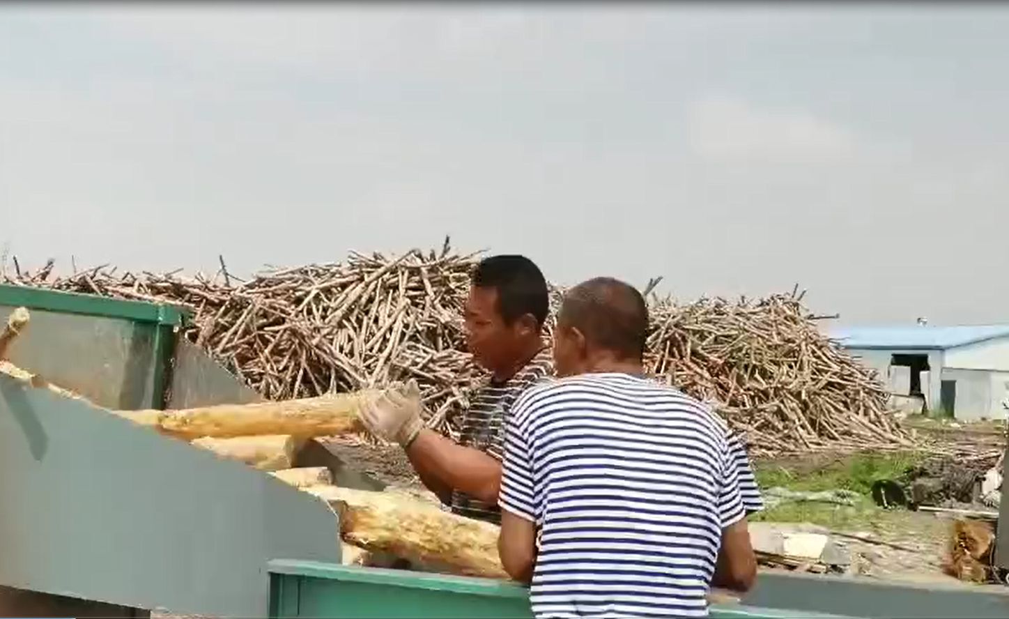 浙江浆纸纸业的各类净片加工