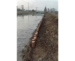 浙江江苏河道木桩